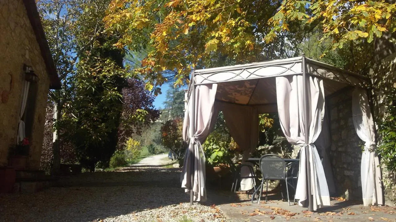 Country house Campo Agli Olivi Guest House Radda in Chianti